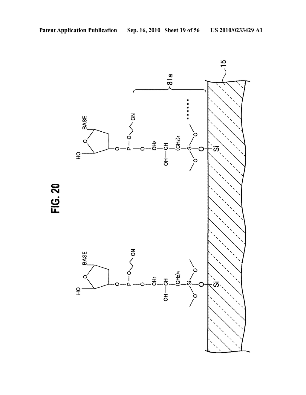 Substrate for Biochip, Biochip, Method for Manufacturing Substrate for Biochip and Method for Manufacturing Biochip - diagram, schematic, and image 20