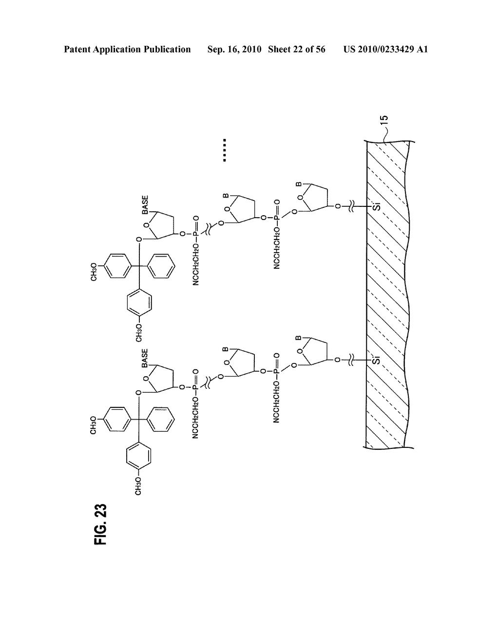 Substrate for Biochip, Biochip, Method for Manufacturing Substrate for Biochip and Method for Manufacturing Biochip - diagram, schematic, and image 23