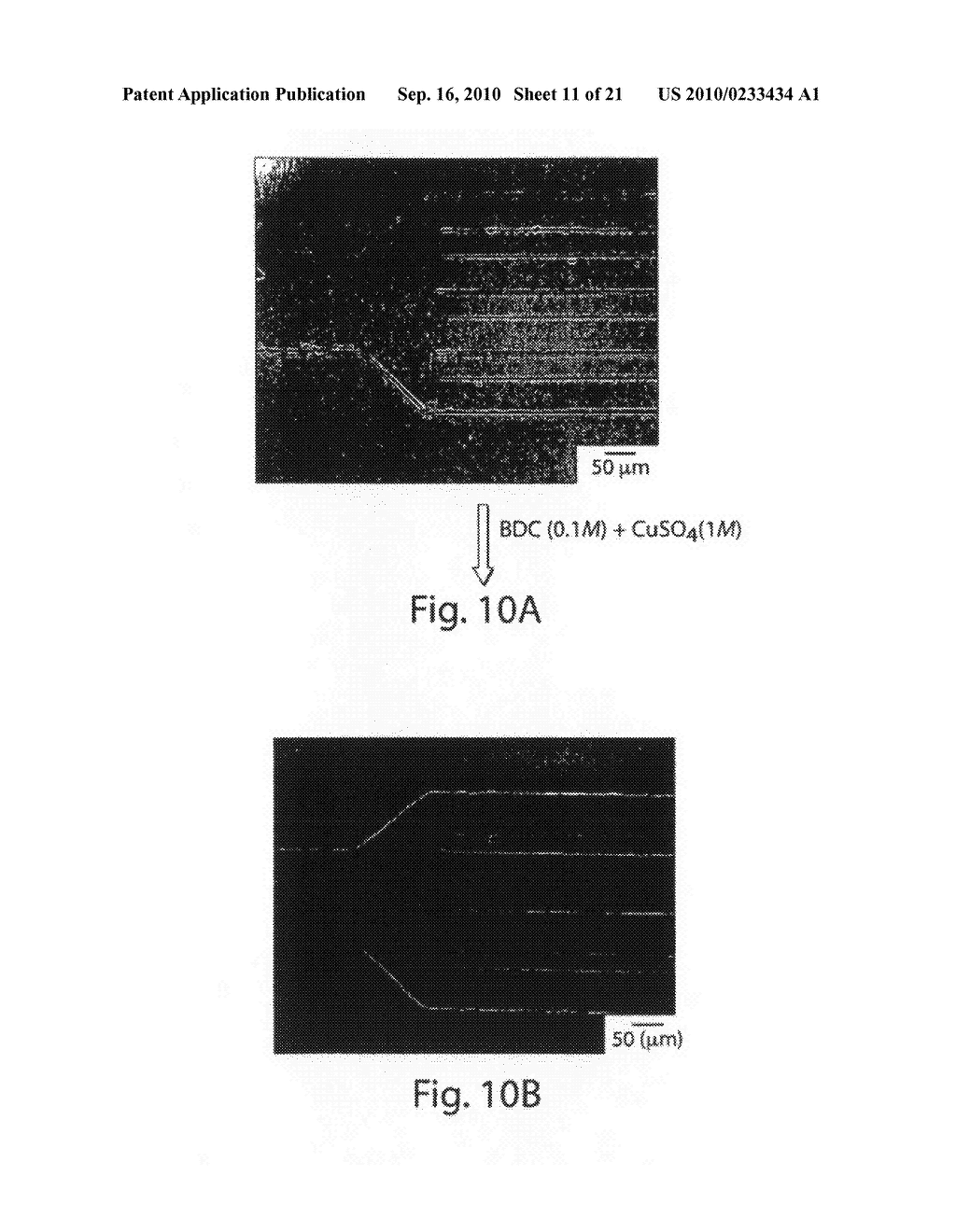 PATTERNING OF IONIC POLYMERS - diagram, schematic, and image 12