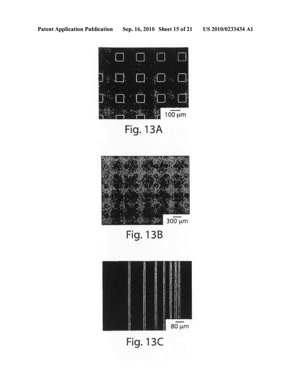 PATTERNING OF IONIC POLYMERS - diagram, schematic, and image 16