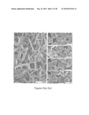 PROCESS FOR DIRECTING ASSEMBLIES OF PARTICULATE DISPERSIONS USING SURFACE ROUGHNESS diagram and image