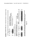 PROCESS FOR DIRECTING ASSEMBLIES OF PARTICULATE DISPERSIONS USING SURFACE ROUGHNESS diagram and image