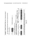 PROCESS FOR DIRECTING ASSEMBLIES OF PARTICULATE DISPERSIONS USING SURFACE ROUGHNESS diagram and image