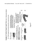 PROCESS FOR DIRECTING ASSEMBLIES OF PARTICULATE DISPERSIONS USING SURFACE ROUGHNESS diagram and image