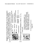 PROCESS FOR DIRECTING ASSEMBLIES OF PARTICULATE DISPERSIONS USING SURFACE ROUGHNESS diagram and image