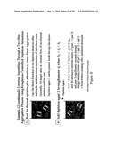 PROCESS FOR DIRECTING ASSEMBLIES OF PARTICULATE DISPERSIONS USING SURFACE ROUGHNESS diagram and image