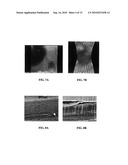 COLORED WEB MATERIAL COMPRISING A PLURALITY OF DISCRETE EXTENDED ELEMENTS diagram and image