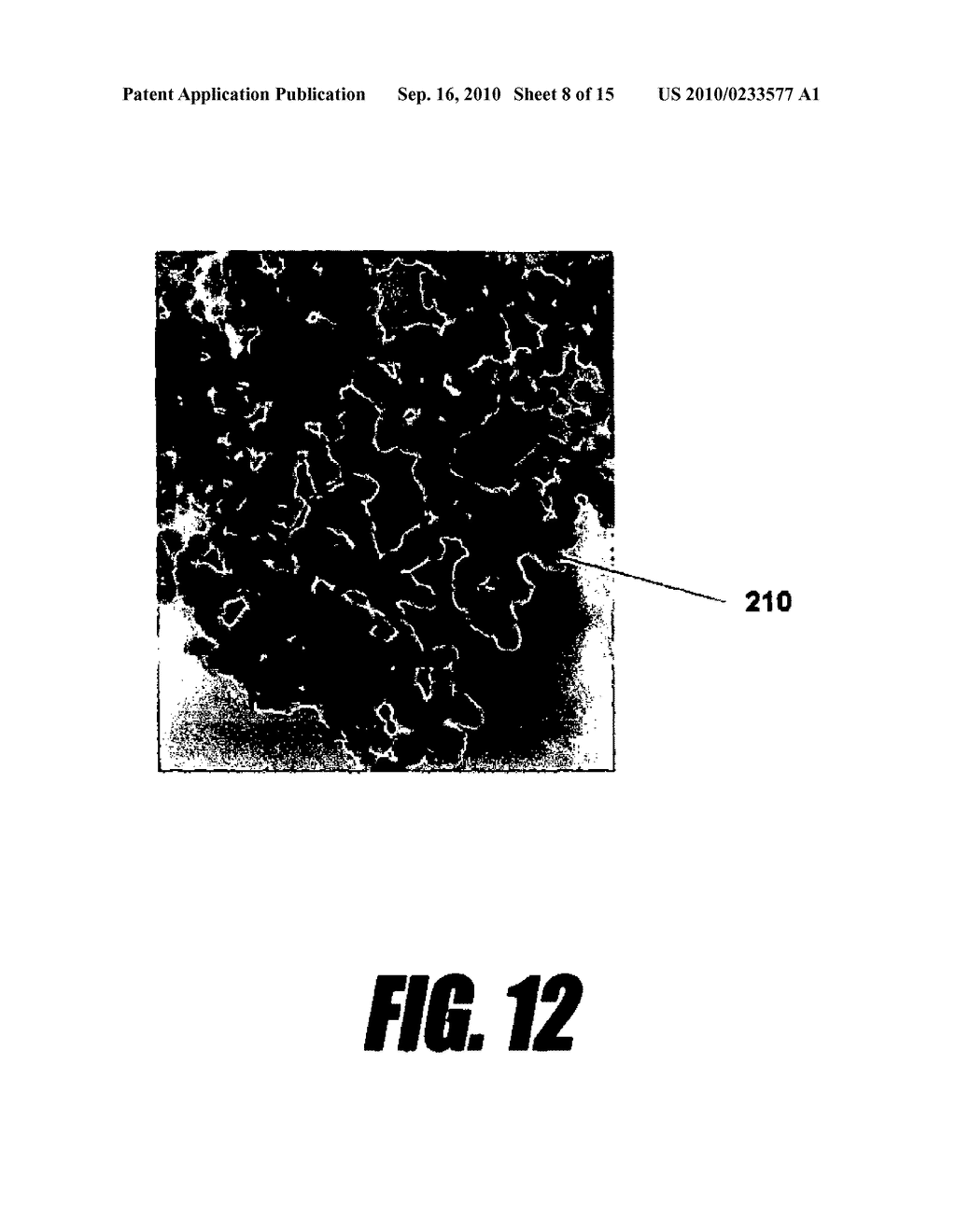 Nano-material catalyst device - diagram, schematic, and image 09