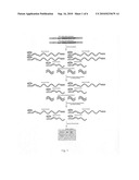 DETECTION OF TRUNCATION MUTATIONS IN A LARGE BACKGROUND OF NORMAL DNA diagram and image