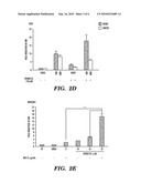 PYRAZOLOANTHRONE AND DERIVATIVES THEREOF FOR THE TREATMENT OF CANCER EXPRESSING  MULLERIAN INHIBITING SUBSTANCE  TYPE II RECEPTOR (MISRII) AND OF EXCESS ANDROGEN STATES diagram and image