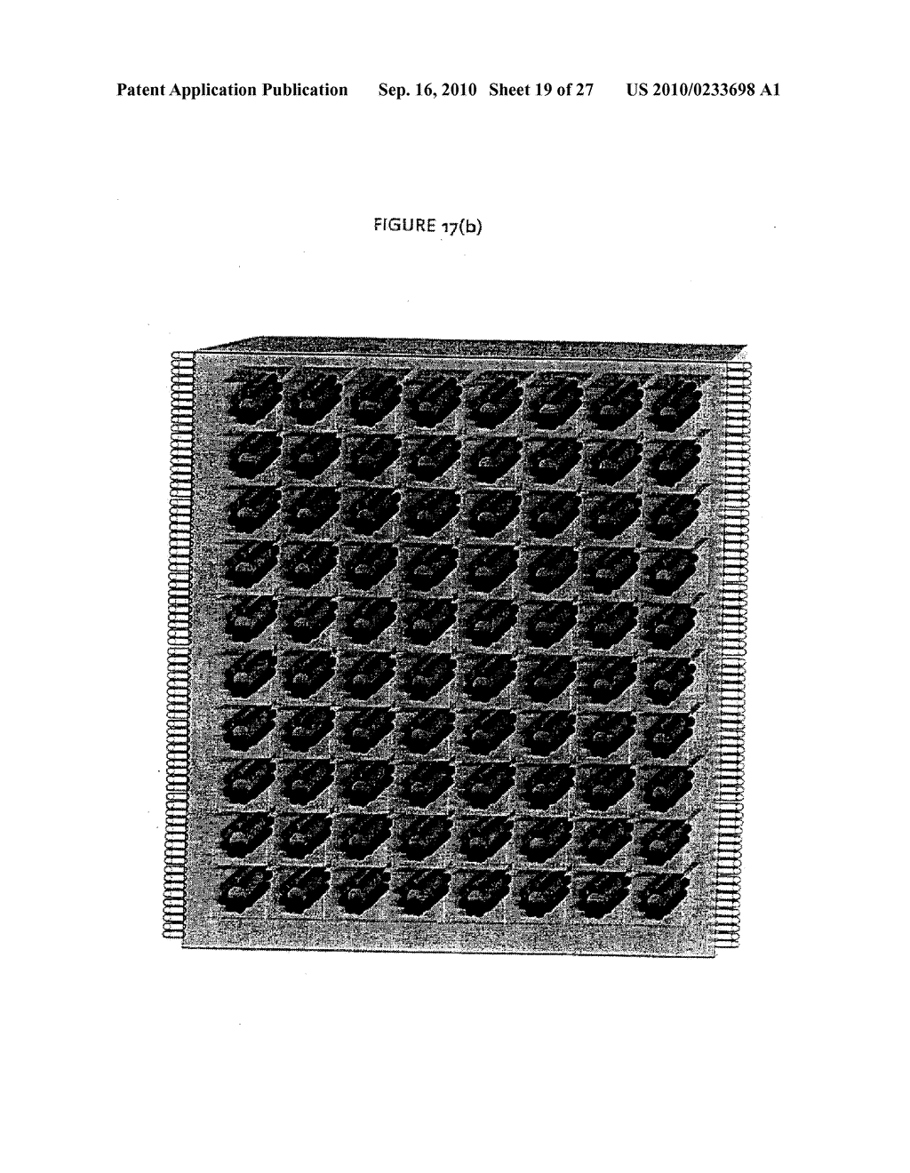 APPARATUS AND METHOD FOR MULTIPLEX ANALYSIS - diagram, schematic, and image 20