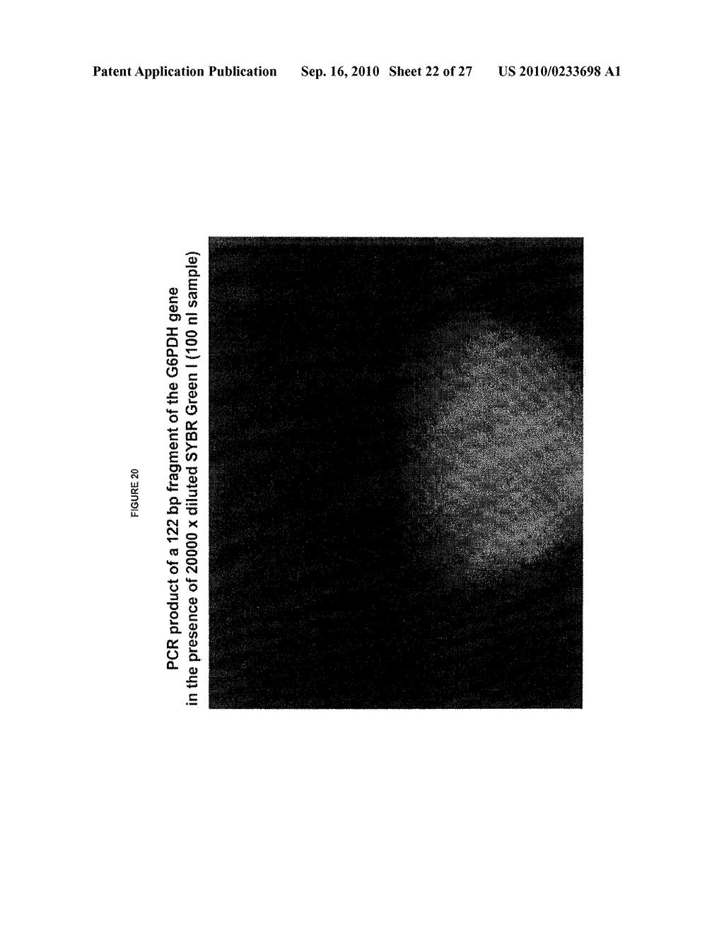 APPARATUS AND METHOD FOR MULTIPLEX ANALYSIS - diagram, schematic, and image 23