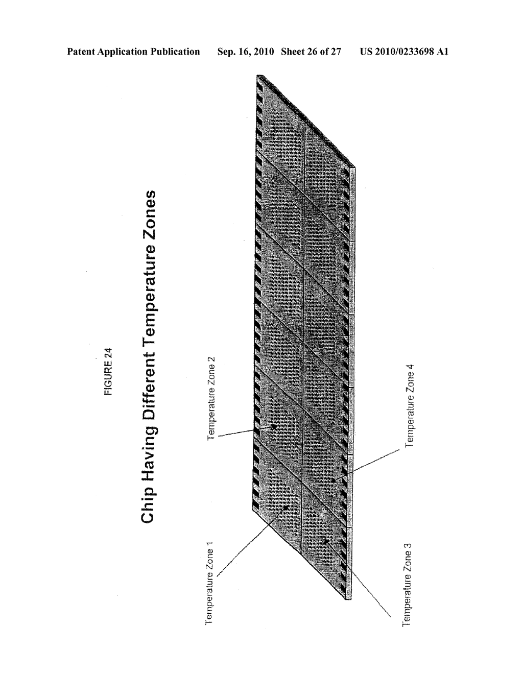 APPARATUS AND METHOD FOR MULTIPLEX ANALYSIS - diagram, schematic, and image 27