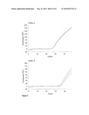 BIOLOGICAL REAGENTS AND METHODS TO VERIFY THE EFFICIENCY OF SAMPLE PREPARATION AND NUCLEIC ACID AMPLIFICATION AND/OR DETECTION diagram and image