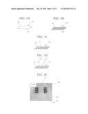 DETECTING INTERACTIONS AT BIOMIMETIC INTERFACES WITH LIQUID CRYSTALS diagram and image