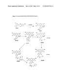 Enzyme substrates for visualizing acidic organelles diagram and image