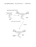 Enzyme substrates for visualizing acidic organelles diagram and image