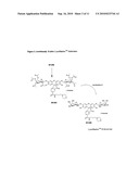 Enzyme substrates for visualizing acidic organelles diagram and image