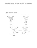 Enzyme substrates for visualizing acidic organelles diagram and image