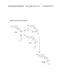 Enzyme substrates for visualizing acidic organelles diagram and image