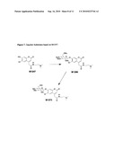 Enzyme substrates for visualizing acidic organelles diagram and image