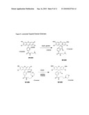 Enzyme substrates for visualizing acidic organelles diagram and image