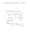 Enzyme substrates for visualizing acidic organelles diagram and image