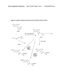 Enzyme substrates for visualizing acidic organelles diagram and image