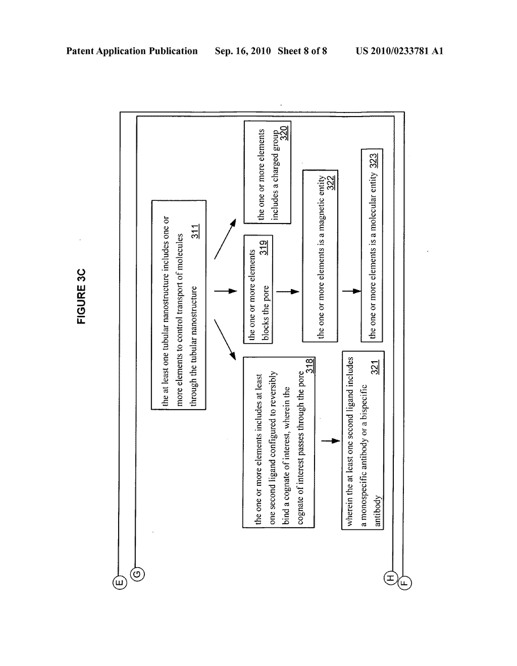 Tubular nanostructure targeted to cell membrane - diagram, schematic, and image 09