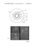 Tags Dispersible in Organic Solvents diagram and image