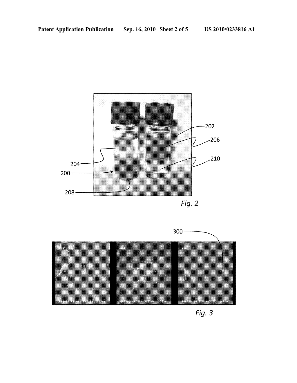 Tags Dispersible in Organic Solvents - diagram, schematic, and image 03