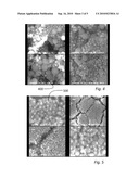 Tags Dispersible in Organic Solvents diagram and image