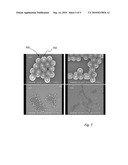 Tags Dispersible in Organic Solvents diagram and image