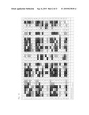 Biological Load Indicator and Method of Measuring Biological Load diagram and image