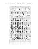 Biological Load Indicator and Method of Measuring Biological Load diagram and image