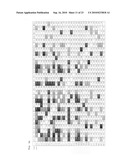 Biological Load Indicator and Method of Measuring Biological Load diagram and image