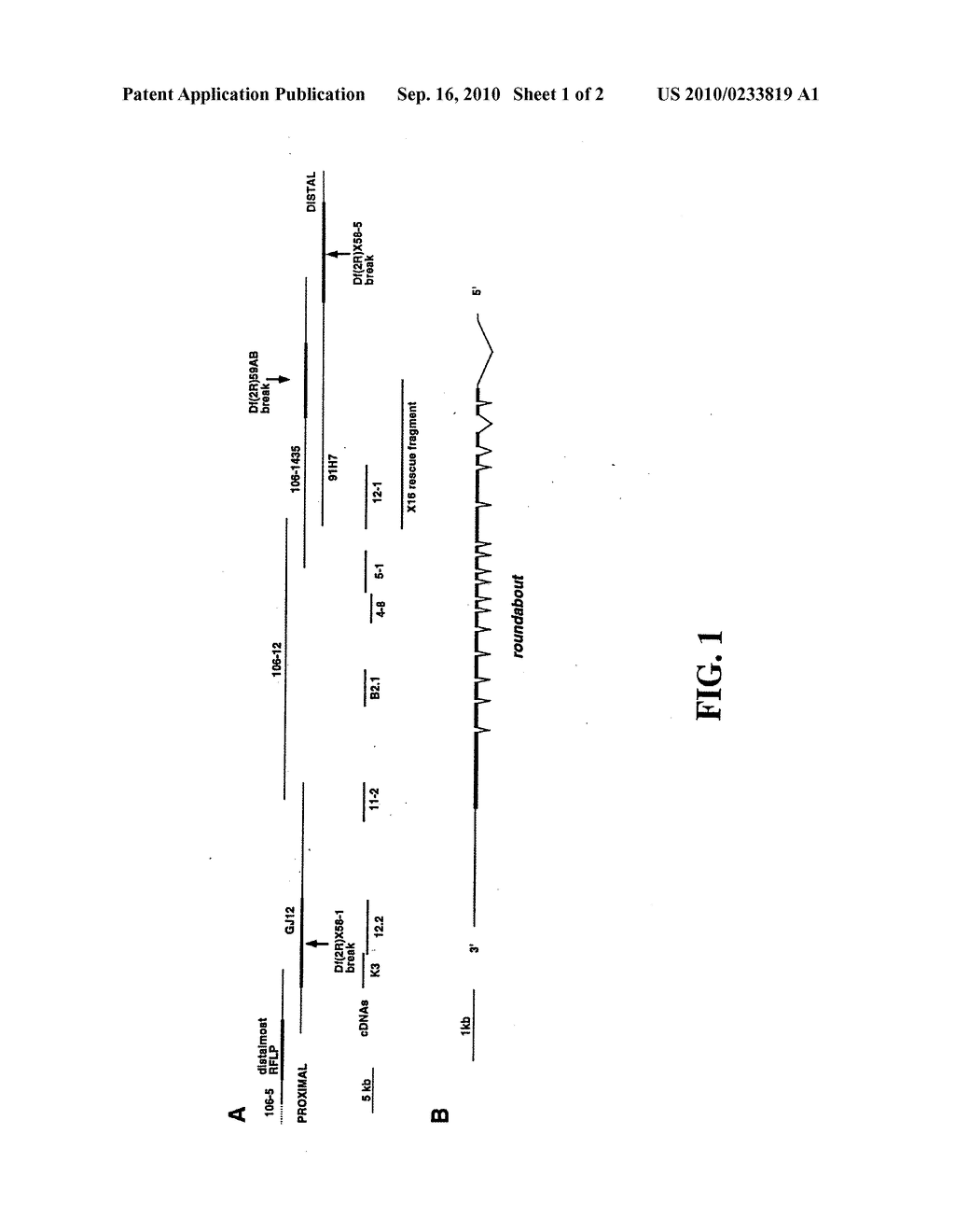 ROBO: A NOVEL FAMILY OF POLYPEPTIDES AND NUCLEIC ACIDS - diagram, schematic, and image 02