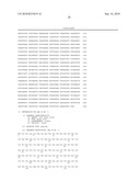 ROBO: A NOVEL FAMILY OF POLYPEPTIDES AND NUCLEIC ACIDS diagram and image