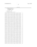 ROBO: A NOVEL FAMILY OF POLYPEPTIDES AND NUCLEIC ACIDS diagram and image