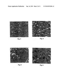 Controlled Pore Size Distribution Porous Ceramic Honeycomb Filter, Honeycomb Green Body, Batch Mixture And Manufacturing Method Therefor diagram and image