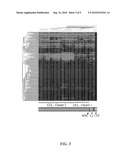 DIAGNOSIS AND TREATMENT OF CANCERS WITH MicroRNA LOCATED IN OR NEAR CANCER-ASSOCIATED CHROMOSOMAL FEATURES diagram and image