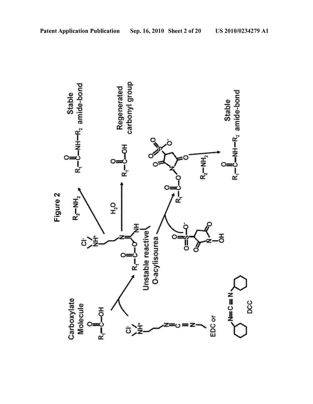 Soluble Hydrophobic Core Carrier Compositions for Delivery of Therapeutic Agents, Methods of Making and Using the Same - diagram, schematic, and image 03