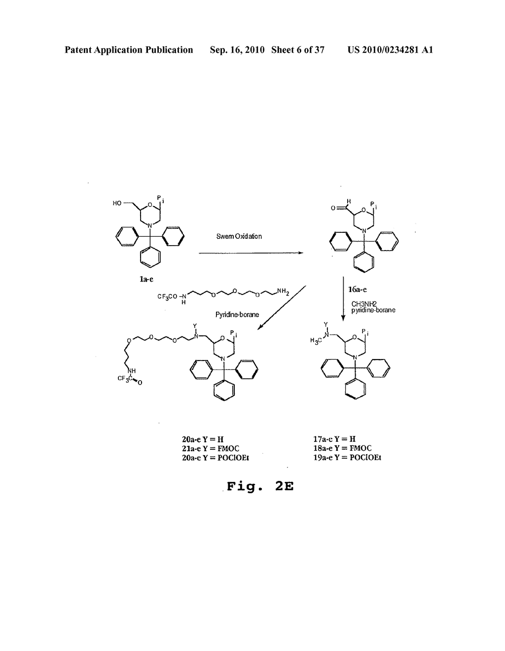 ANTIBACTERIAL ANTISENSE OLIGONUCLEOTIDE AND METHOD - diagram, schematic, and image 07