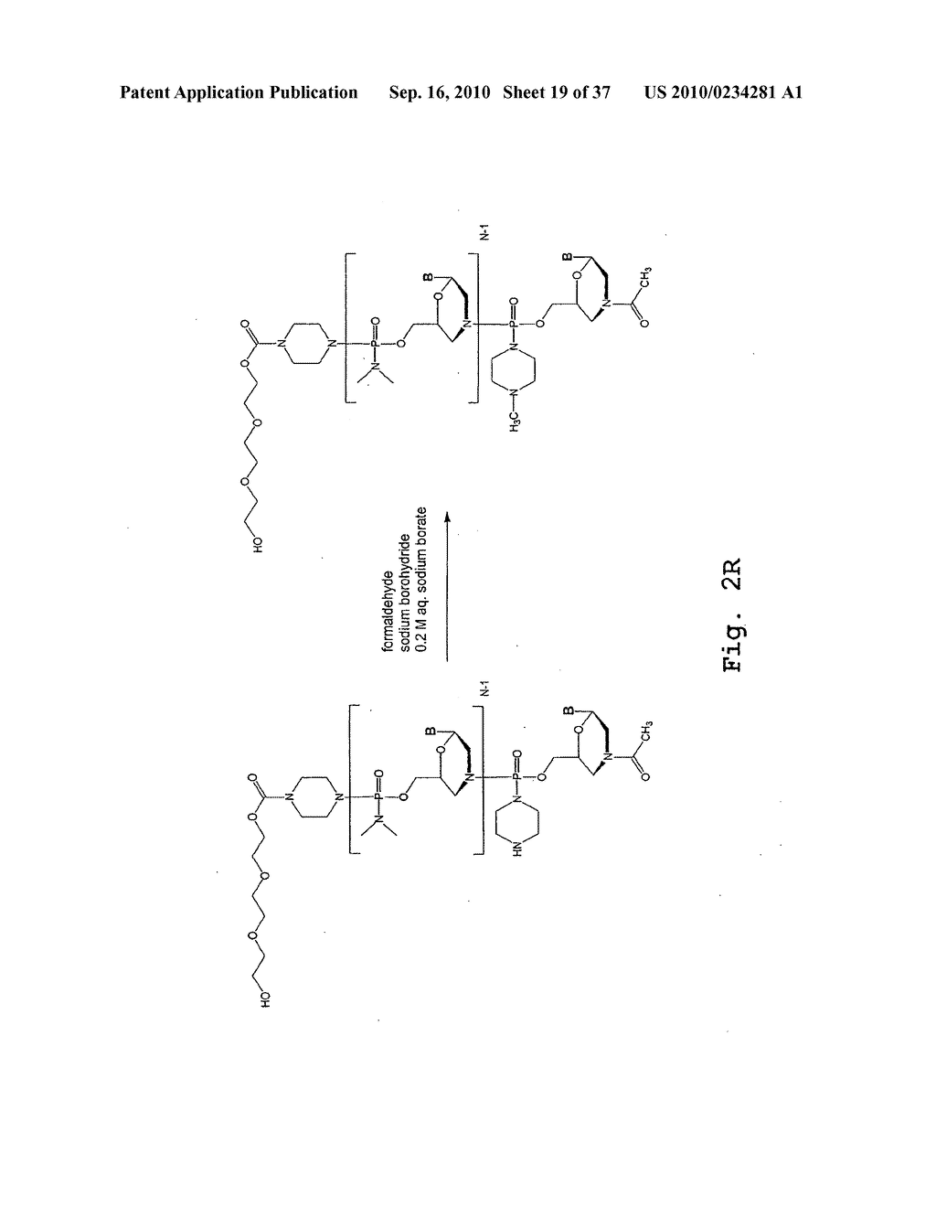 ANTIBACTERIAL ANTISENSE OLIGONUCLEOTIDE AND METHOD - diagram, schematic, and image 20