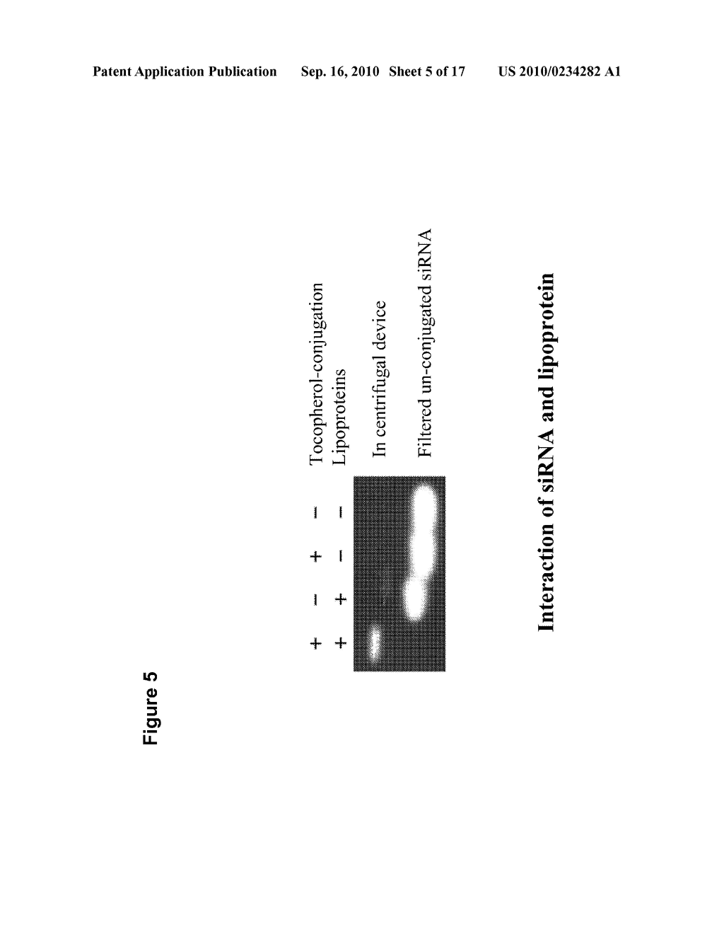 SYSTEM FOR DELIVERING NUCLEIC ACIDS FOR SUPPRESSING TARGET GENE EXPRESSION BY UTILIZING ENDOGENOUS CHYLOMICRON - diagram, schematic, and image 06