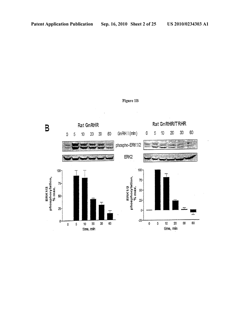 AGENTS, METHODS AND USES - diagram, schematic, and image 03