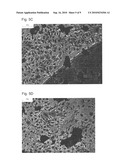 BETA SHEET TAPES RIBBONS IN TISSUE ENGINEERING diagram and image