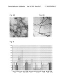 BETA SHEET TAPES RIBBONS IN TISSUE ENGINEERING diagram and image