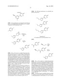 PYRIDAZINONE DERIVATIVES diagram and image