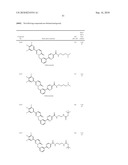 PYRIDAZINONE DERIVATIVES diagram and image